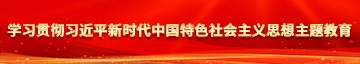 美女被c哭网站学习贯彻习近平新时代中国特色社会主义思想主题教育